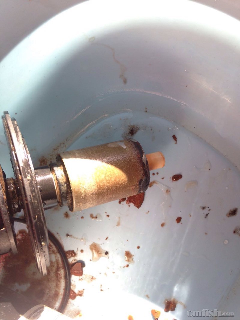 心中的彩虹又被乌云遮住了,彩虹泵呀怎么爱你