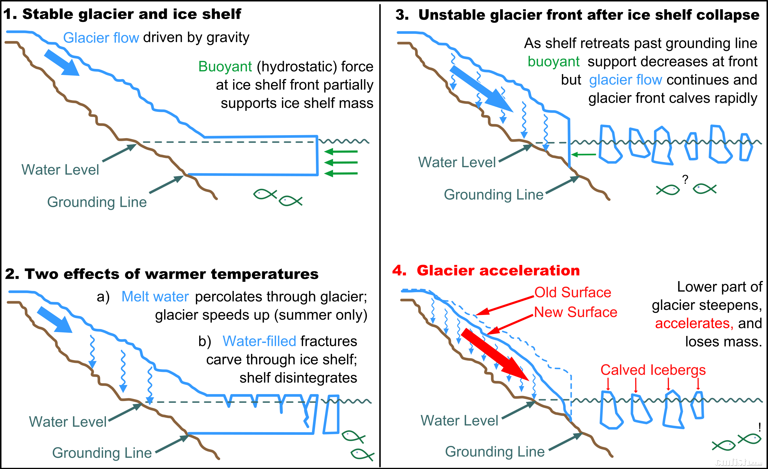 Glacier-ice_shelf_interactions.svg.png