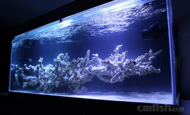 kang-reef-aquascape_zpsa299cb3f.jpg