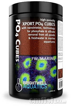 Brightwell_Xport-PO4Cubes.jpg