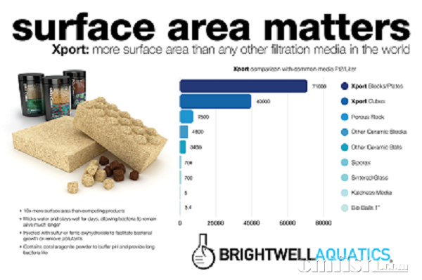 Brightwell_Xport-SurfaceAreaMatters-Poster_2016.png