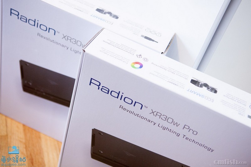 Radions LED1.jpg